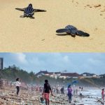 received_514358629255132