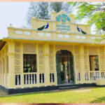 5a265702a3a90035319a74e50b395be4