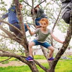Kids-in-Tree_Free-Play_FAMILY_0721