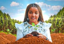 The girl who planted 1.3 million trees at the age of thirteen