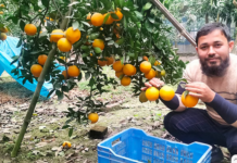 Engineer Nayeem leaves his job and freelancing to pursue agriculture